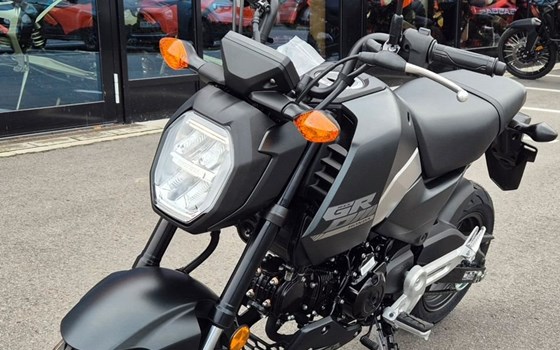 Neufahrzeug Honda MSX125 Grom - Bild 9