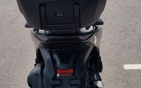 Neufahrzeug Honda SH150i - Bild 13