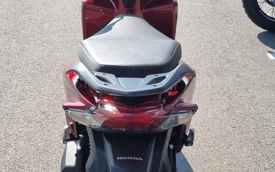 Neufahrzeug Honda Vision 110 - Bild 9