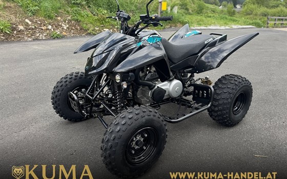 Neufahrzeug Access AMS 4.38 SX - Bild 1