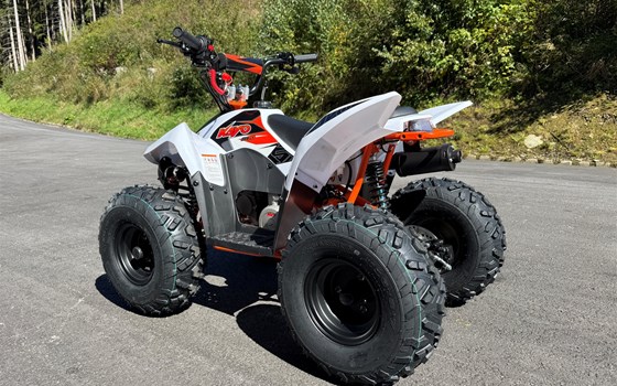 Neufahrzeug Kayo Fox 70 - Bild 5