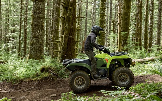 Neufahrzeug Yamaha Grizzly 700 EPS - Bild 6