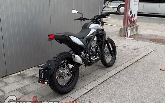 Gebrauchtmotorrad Beta Alp X - Bild 4