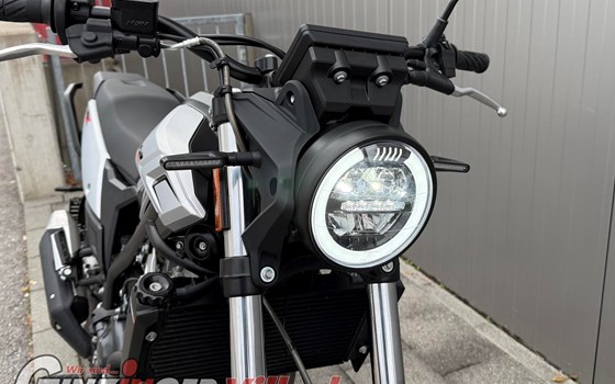 Gebrauchtmotorrad Beta Alp X - Bild 9