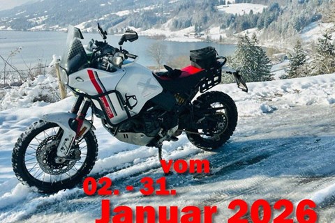 Top 5: Die Lieblings Monster-Modelle der 1000PS Redakteure