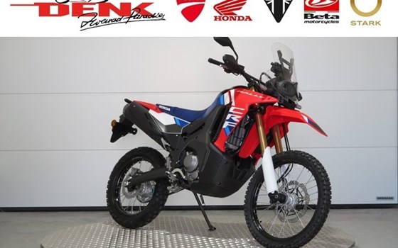 Neufahrzeug Honda CRF300 Rally - Bild 1