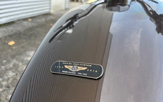 Gebrauchtmotorrad Harley-Davidson Sportster XL 1200 C 110th Anniversary - Bild 13