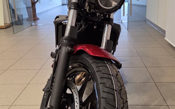 Neufahrzeug Kawasaki Eliminator 500 - Bild 6