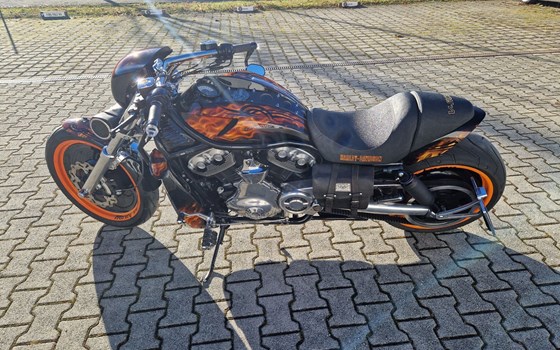 Gebrauchtmotorrad Harley-Davidson V-Rod VRSCB - Bild 3
