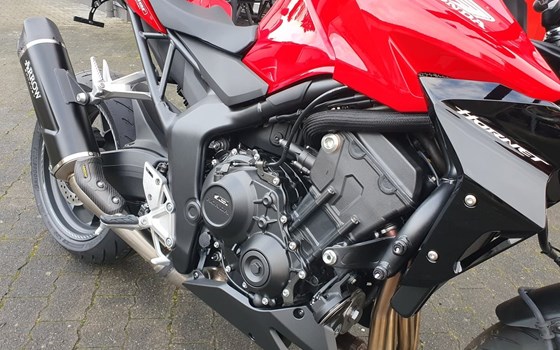 Neufahrzeug Honda CB1000 Hornet - Bild 6