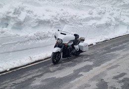 Occasion Harley-Davidson Touring Street Glide Special FLHXS