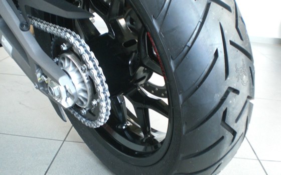 Neufahrzeug Ducati Multistrada V2 S - Bild 6