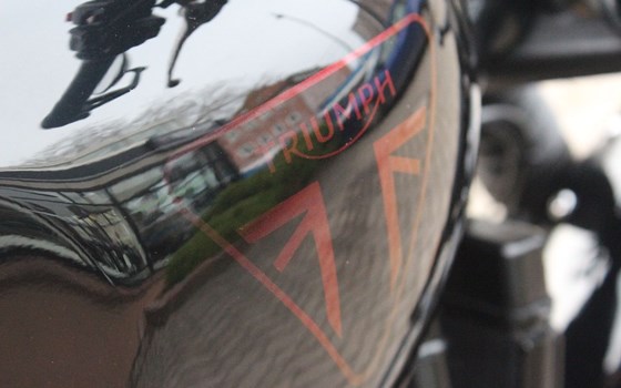 Gebrauchtmotorrad Triumph Street Scrambler - Bild 12