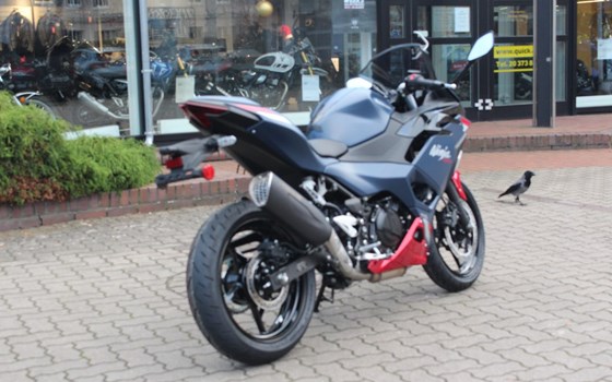 Neufahrzeug Kawasaki Ninja 500 SE - Bild 3