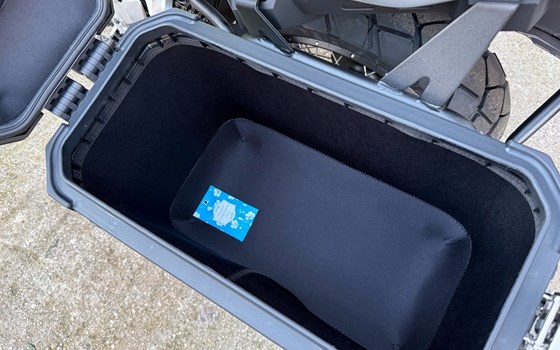 Neufahrzeug QJ Motor SVT 650 X - Bild 8