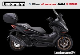 Neumotorrad Honda Forza 125