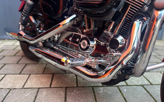 Gebrauchtmotorrad Harley-Davidson Sportster XL 1200C Custom - Bild 5