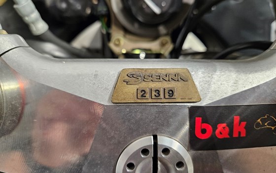 Gebrauchtmotorrad Ducati 916 Senna - Bild 7