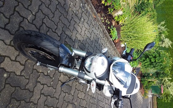 Gebrauchtmotorrad Ducati Monster - Bild 3