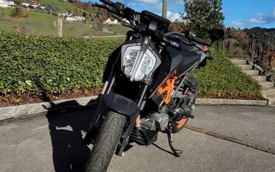 Offre KTM 125 Duke - Image 2