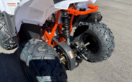 Neufahrzeug Kayo Fox 70 - Bild 6