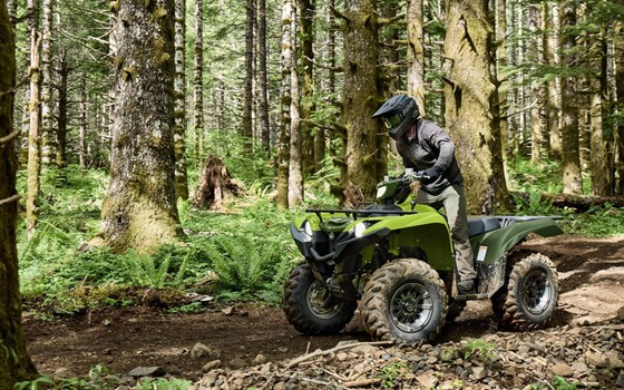 Neufahrzeug Yamaha Grizzly 700 EPS - Bild 4