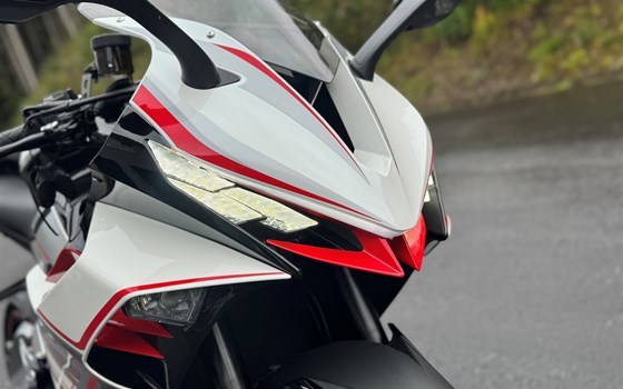 Neufahrzeug Zontes 703-RR - Bild 11