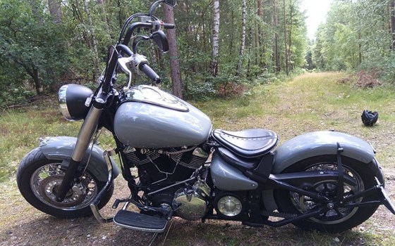 Gebrauchtmotorrad Yamaha XV 1600 Wild Star - Bild 3