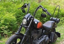 Gebrauchte Harley-Davidson Street Bob 117