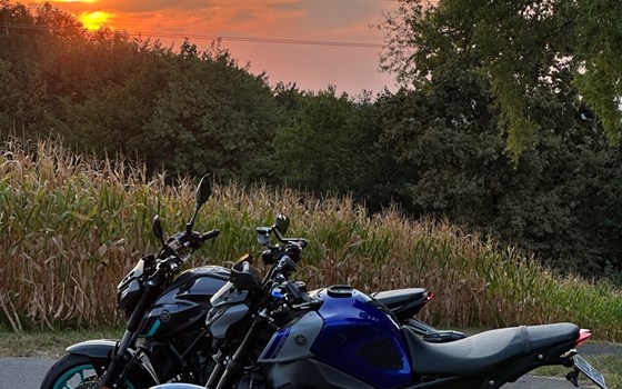 Gebrauchtmotorrad Yamaha MT-09 - Bild 12