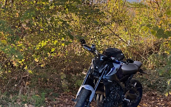 Gebrauchtmotorrad Yamaha MT-09 - Bild 2