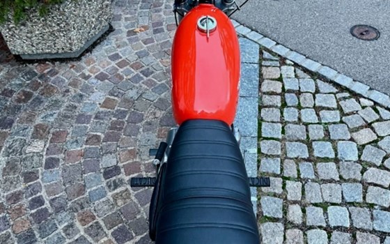 Gebrauchtmotorrad Ducati 250 Scrambler - Bild 2