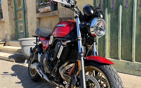 Neufahrzeug Kawasaki Z650 RS - Bild 4