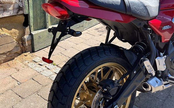 Neufahrzeug Kawasaki Z650 RS - Bild 6