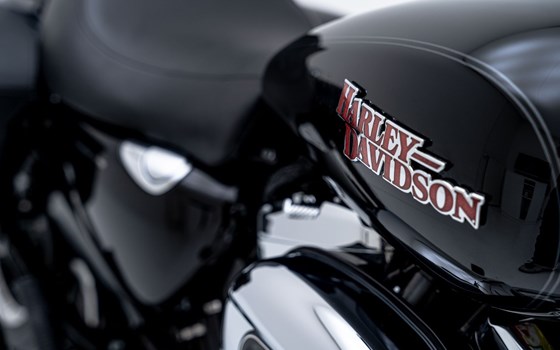 Motorrad Occasion Harley-Davidson Sportster XL 1200T SuperLow - Bild 9