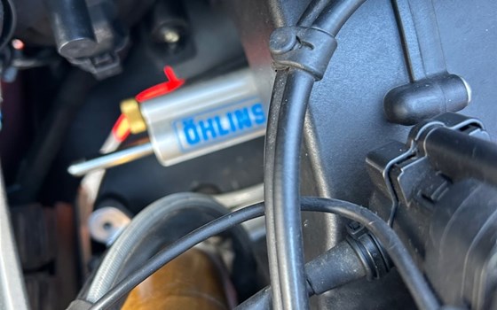 Gebrauchtmotorrad Aprilia RSV 1000 R (RSV Mille R) - Bild 2