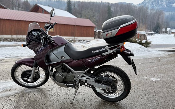 Gebrauchtmotorrad Kawasaki KLE 500 - Bild 2