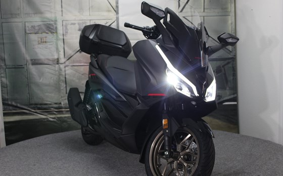 Neufahrzeug Honda Forza 125 - Bild 3