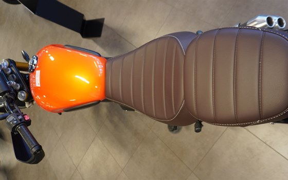 Neufahrzeug Triumph Scrambler 400 X - Bild 3