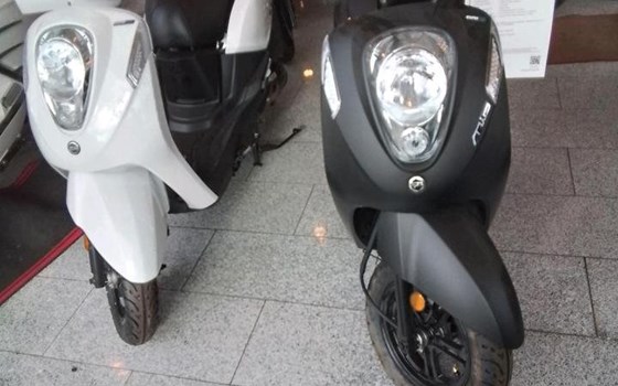 Neufahrzeug Sym MIO 50i - Bild 2