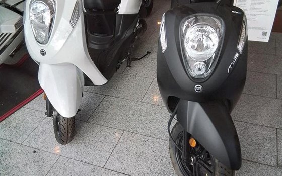 Neufahrzeug Sym MIO 50i - Bild 6