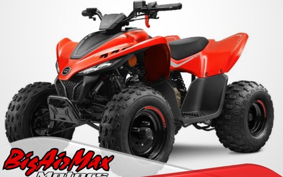 Neufahrzeug CFMOTO CForce 110 - Bild 1