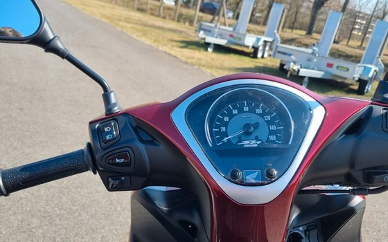 Neufahrzeug Honda SH125 - Bild 13