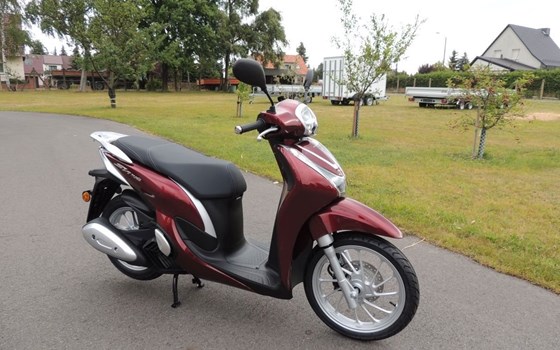 Neufahrzeug Honda SH125 - Bild 1
