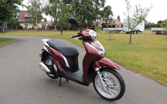 Neufahrzeug Honda SH125 - Bild 2