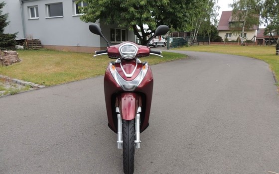 Neufahrzeug Honda SH125 - Bild 4
