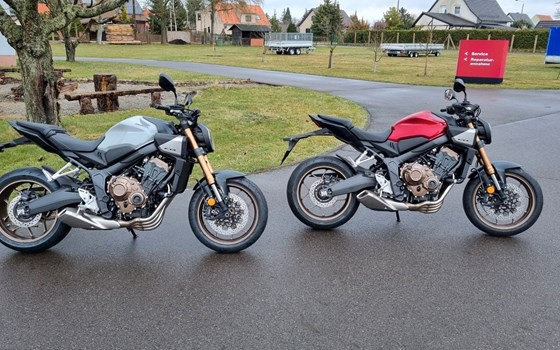 Neufahrzeug Honda CB650R - Bild 1