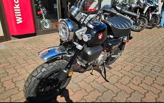 Neufahrzeug Honda Monkey 125 - Bild 2