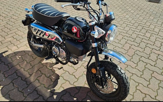Neufahrzeug Honda Monkey 125 - Bild 5