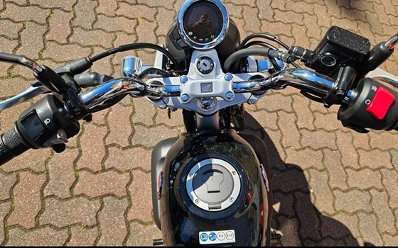 Neufahrzeug Honda Monkey 125 - Bild 7